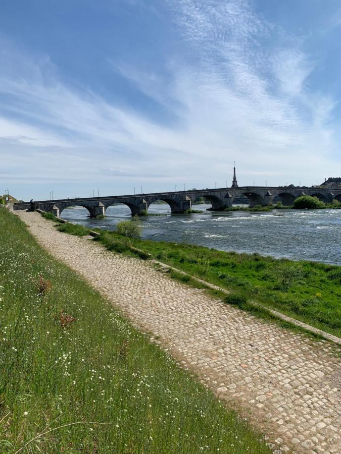 T2 - Au Calme Royaloire - Chateau A Vue - Luxe, Renove Blois Eksteriør bilde
